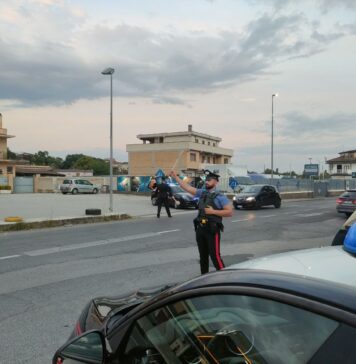 Rapina a tor san lorenzo, tenta di rubare elettrodomestici e aggredisce dipendente