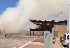 Incendio di Ladispoli: le fiamme divampate su un campo incolto di sterpaglie 1
