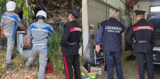 Furto di energia elettrica e lavoro nero: blitz dei carabinieri ad Ardea
