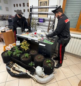 Serra domestica per produrre droga, un arresto: tradito dall'odore 1 Serra domestica per produrre droga, un arresto: tradito dall'odore 1