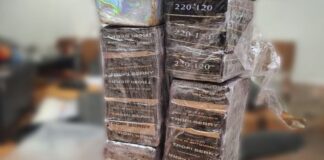 Carico di droga camuffato tra tisane e caffè: pusher arrestato con spesa stupefacente