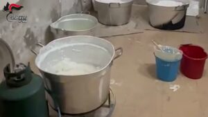 Traffico internazionale di droga, maxi operazione dei Carabinieri coinvolge Roma e litorale (VIDEO) 2