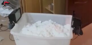 Traffico internazionale di droga, maxi operazione dei Carabinieri coinvolge Roma e litorale (VIDEO)