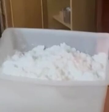 Traffico internazionale di droga, maxi operazione dei Carabinieri coinvolge Roma e litorale (VIDEO)