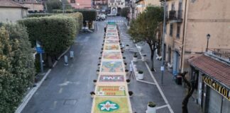 festa del narciso