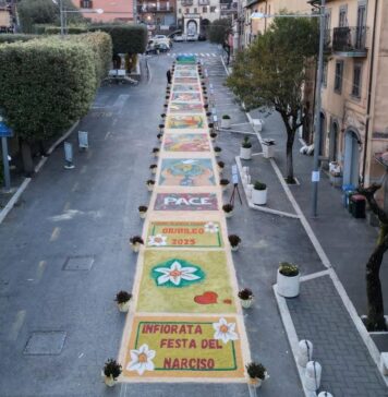 festa del narciso