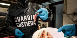 Ristoranti etnici civitavecchia, controlli guardia costiera