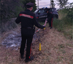 Danno fuoco a bobine di rame nel parco del Cnr di Montelibretti: in manette due uomini di 49 anni 1