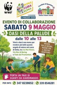Da discarica a oasi di palude: il progetto di Wwf e Comitato di quartiere a Stella Polare 3 Da discarica a oasi di palude: il progetto di Wwf e Comitato di quartiere a Stella Polare 3