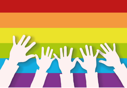 manifestazione donne trans copertina
