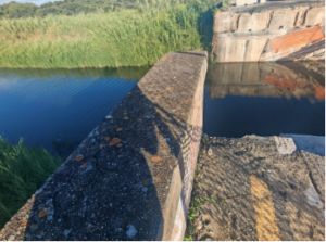 Interrotti i lavori di ricostruzione del ponte D sulla Litoranea: insorgono i residenti di Campo Ascolano (VIDEO E FOTO) 1