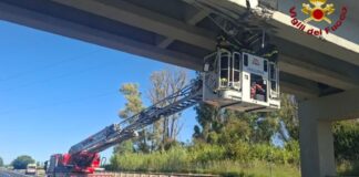 A12 Roma-Civitavecchia, incidente con camion coinvolto: chiusura di un tratto e verifiche su ponti