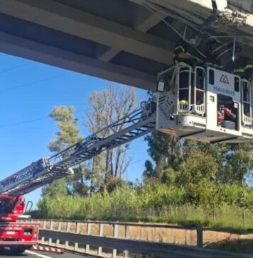 A12 Roma-Civitavecchia, incidente con camion coinvolto: chiusura di un tratto e verifiche su ponti