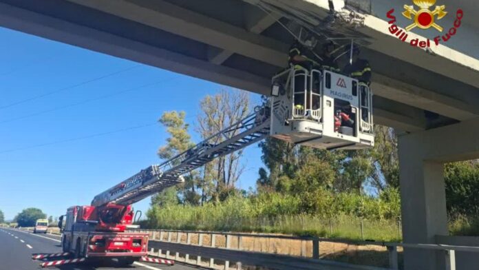 A12 Roma-Civitavecchia, incidente con camion coinvolto: chiusura di un tratto e verifiche su ponti