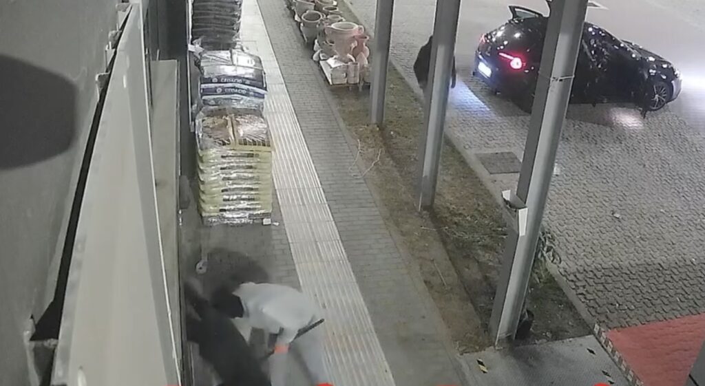 Furto a Torvaianica, spaccata in una gioielleria storica: caccia alla banda dei colpi lampo (VIDEO) 2