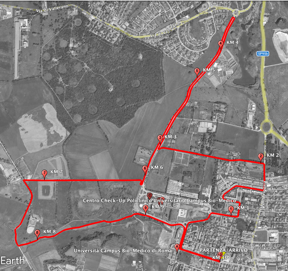 Correre per la salute nel cuore verde di Roma: torna la "Run for Liver" con il villaggio per il screening gratuiti (FOTO) 1 Correre per la salute nel cuore verde di Roma: torna la "Run for Liver" con il villaggio per il screening gratuiti (FOTO) 1