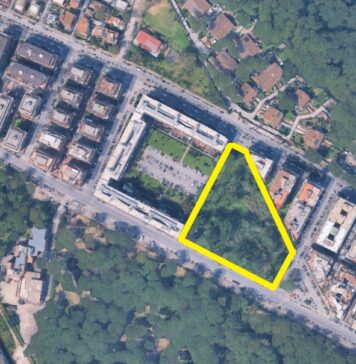Da discarica a oasi di palude: il progetto di Wwf e Comitato di quartiere a Stella Polare