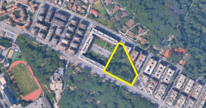wwf Da discarica a oasi di palude: il progetto di Wwf e Comitato di quartiere a Stella Polare