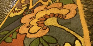 Torna nel weekend l'attesissima Infiorata di Rocca di Papa: tra disegni di segatura e tradizioni, Piazza della Repubblica si trasforma per due giorni