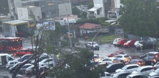 Il passaggio improvviso di una tromba d'aria sradica alberi e spazza via arredi urbani nel quadrante nord-est
