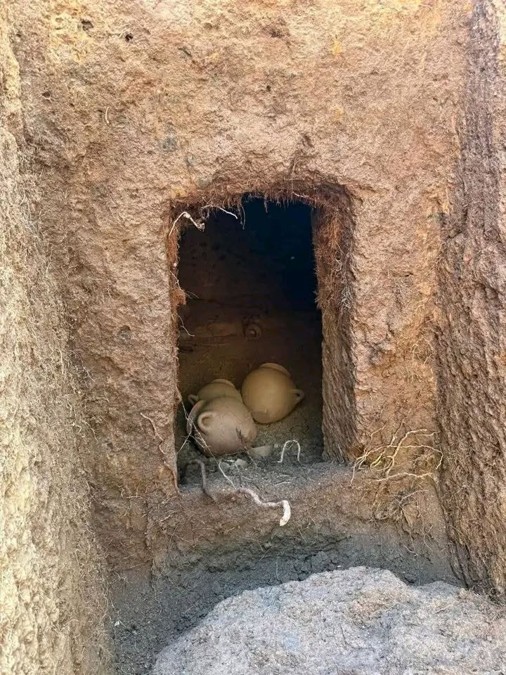 Scoperta eccezionale a Barbarano Romano: aperta una tomba etrusca intatta del VII secolo a.C. (VIDEO) 1