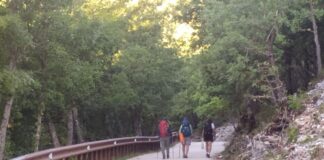 Scopriamo la via Peuceta: cammino da Bari a Matera, cosa vedere e info utili