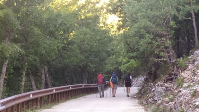Scopriamo la via Peuceta: cammino da Bari a Matera, cosa vedere e info utili