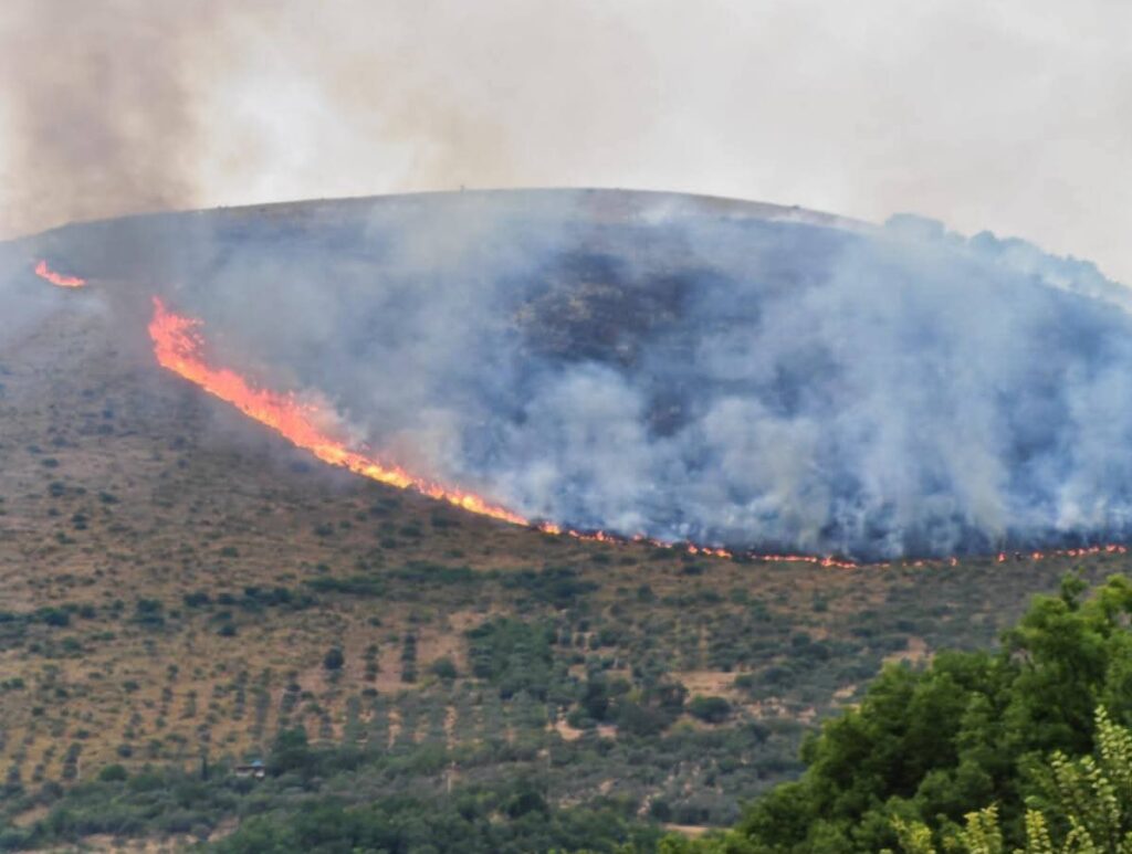 Bruciano le campagne di Nerola: le fiamme visibili a km di distanza 2