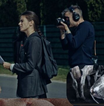 Food for profit, su Canale Dieci arriva il documentario investigativo di Giulia Innocenzi e Pablo D'Ambrosi