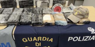 Maxi sequestro di cocaina a Civitavecchia, il fiuto di Milton in azione: arrestato corriere tedesco (VIDEO)