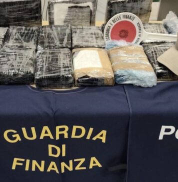 Maxi sequestro di cocaina a Civitavecchia, il fiuto di Milton in azione: arrestato corriere tedesco (VIDEO)