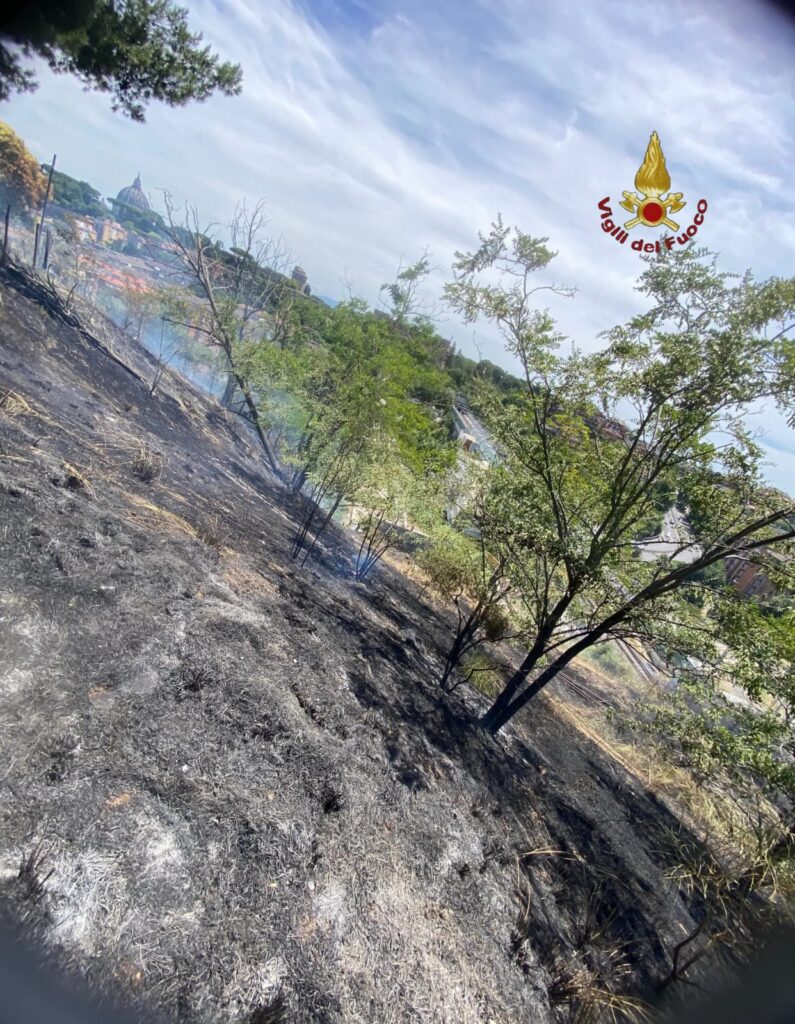 Incendio a Roma, fiamme a Monte Ciocci: fuoco tra Balduina e Valle Aurelia, vigili del fuoco in azione 1