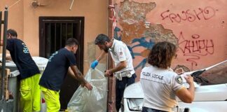 rifiuti, Polizia Locale Anzio, verbali ristoranti, sindaco Aurelio Lo Fazio, assessore Luca Brignone, Tari Anzio