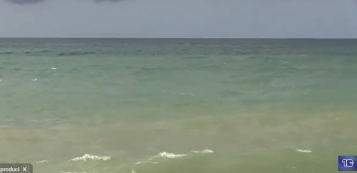 SPIAGGE SICURE CERVETERI