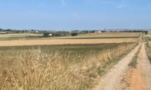 In cammino lungo la Via Peuceta: caratteristiche del percorso e tappe