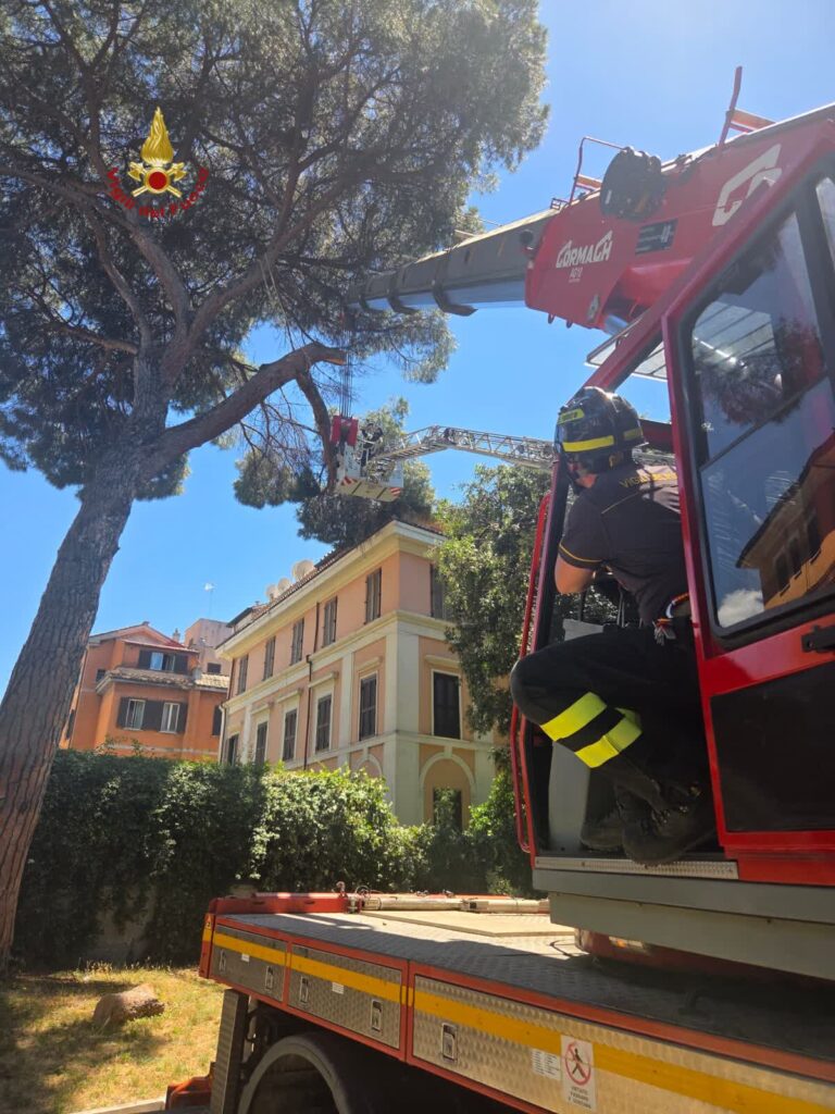 Ramo crolla sulla facciata di un palazzo a Colle Oppio, l'intervento dei vigili del fuoco 1