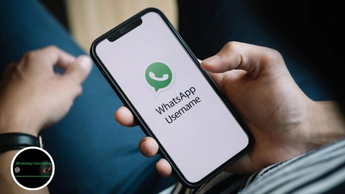WhatsApp username