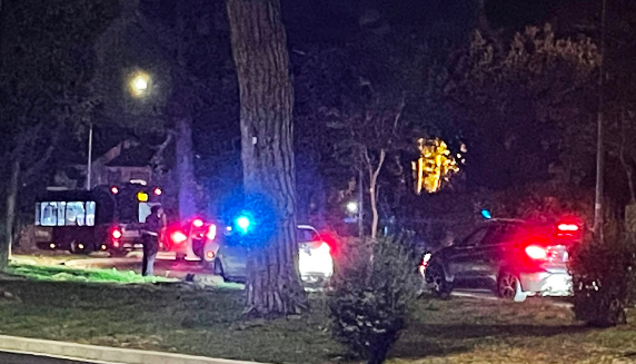 a casal palocco incidente