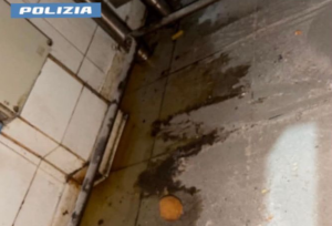 Gravi irregolarità igienico sanitarie: temporaneamente chiusa una pizzeria nel quartiere Ostiense 1 Gravi irregolarità igienico sanitarie: temporaneamente chiusa una pizzeria nel quartiere Ostiense 1