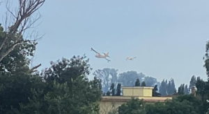 Incendio in via del Lido di Castel Porziano all’Infernetto: evacuate alcune case. Strada chiusa (VIDEO) 2