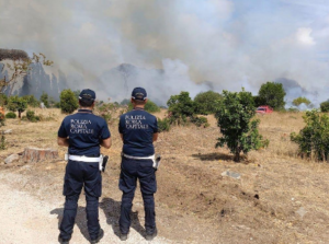 Incendio in via del Lido di Castel Porziano all’Infernetto: evacuate alcune case. Strada chiusa (VIDEO) 3