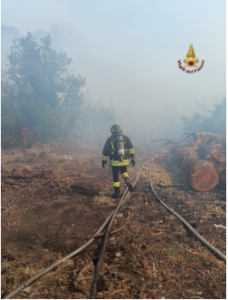 Incendio in via del Lido di Castel Porziano all’Infernetto: evacuate alcune case. Strada chiusa (VIDEO) 1