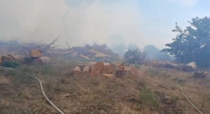 Incendio in via del Lido di Castel Porziano all’Infernetto: evacuate alcune case. Strada chiusa (VIDEO) 5