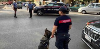 Blitz antidroga ad Acilia e dintorni: scattano 3 arresti e 16 denunce (VIDEO)