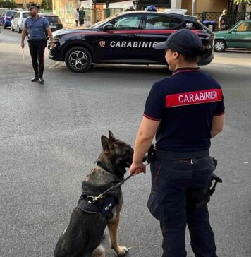 Blitz antidroga ad Acilia e dintorni: scattano 3 arresti e 16 denunce (VIDEO)