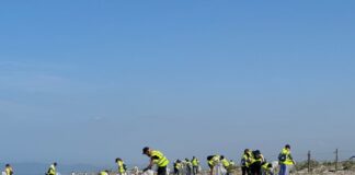 RiqualifichiAMO Coccia di Morto, torna a Fiumicino l'iniziativa dei volontari per pulire la spiaggia
