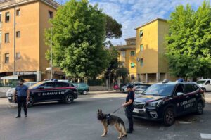 Blitz antidroga ad Acilia e dintorni: scattano 3 arresti e 16 denunce (VIDEO) 1