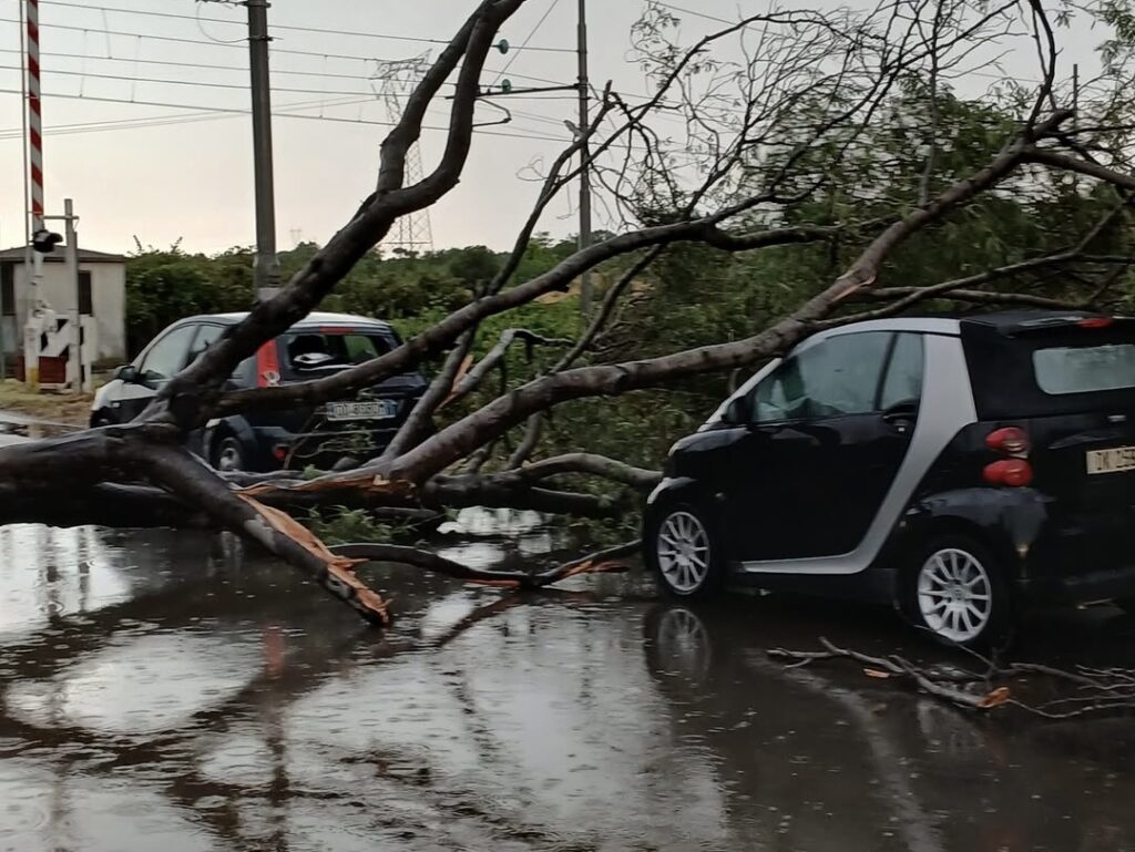 Temporale e alberi caduti a Roma: via Ostiense bloccata e auto distrutte. Paura al Celio (FOTO) 3