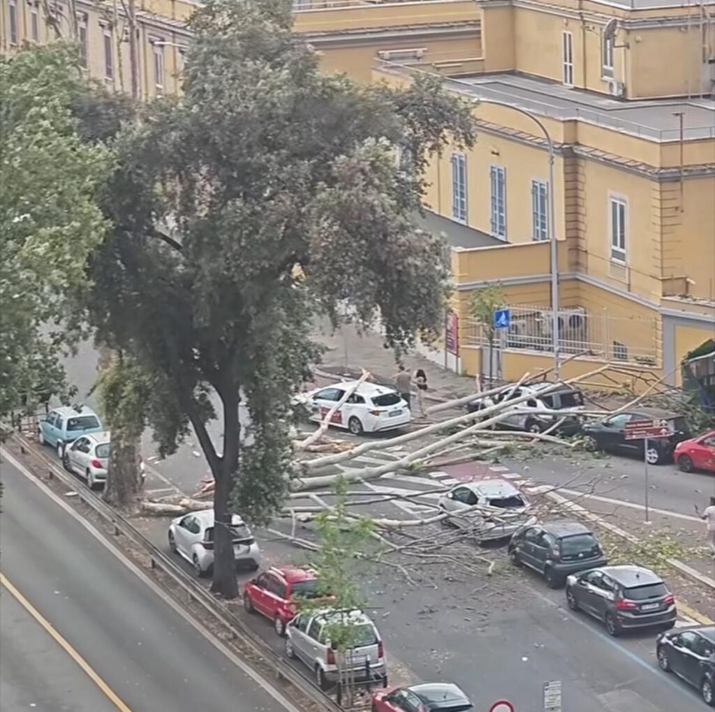 Temporale e alberi caduti a Roma: via Ostiense bloccata e auto distrutte. Paura al Celio (FOTO) 1