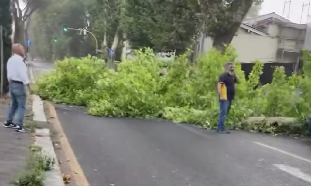 Temporale e alberi caduti a Roma: via Ostiense bloccata e auto distrutte. Paura al Celio (FOTO) 2